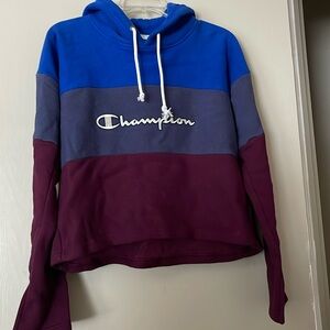 Champion hoodie